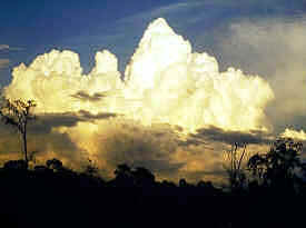 Sunset over the Amzon