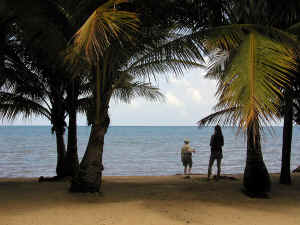 Pelican Beach Hotel--the beach
