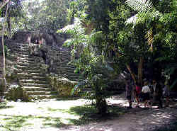 CRBelize Tikal
