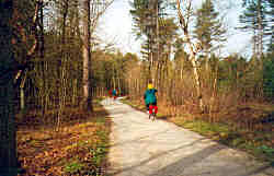 Holland forest bike trail