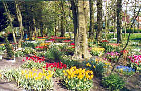 Demonstration gardens at Anna Paulowna, Holland