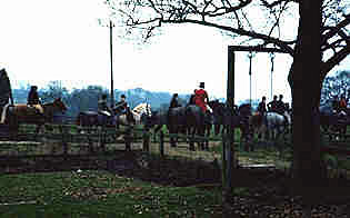 Cotswold hunt