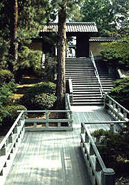 Bridge in Japanese garden