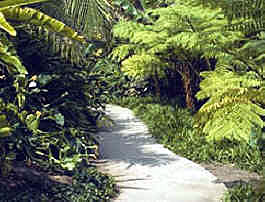 Huntington garden walk
