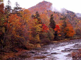 Autumn colors