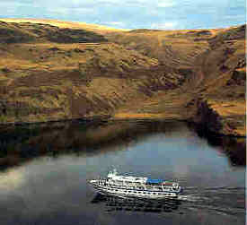 Sea Lion on the Columbia