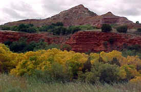 Palo Duro Autumn