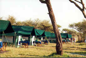 Tent camp in the Serengeti