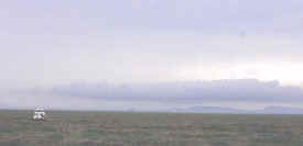 Serengeti plain